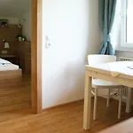 Sauschneidhof - Guest house Radstadt