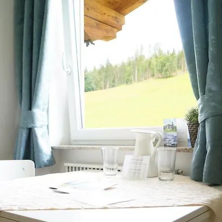 Pensión Sauschneidhof - Radstadt