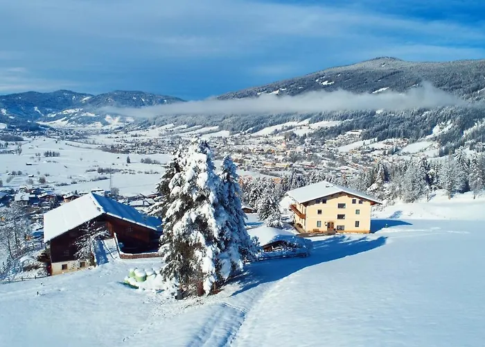 Sauschneidhof - 招待所